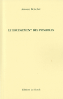 Bruissement des possibles (Le)